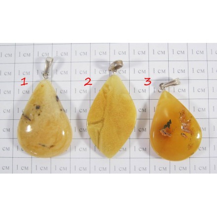 Кулон из пейзажного янтаря Золотая осень - 4